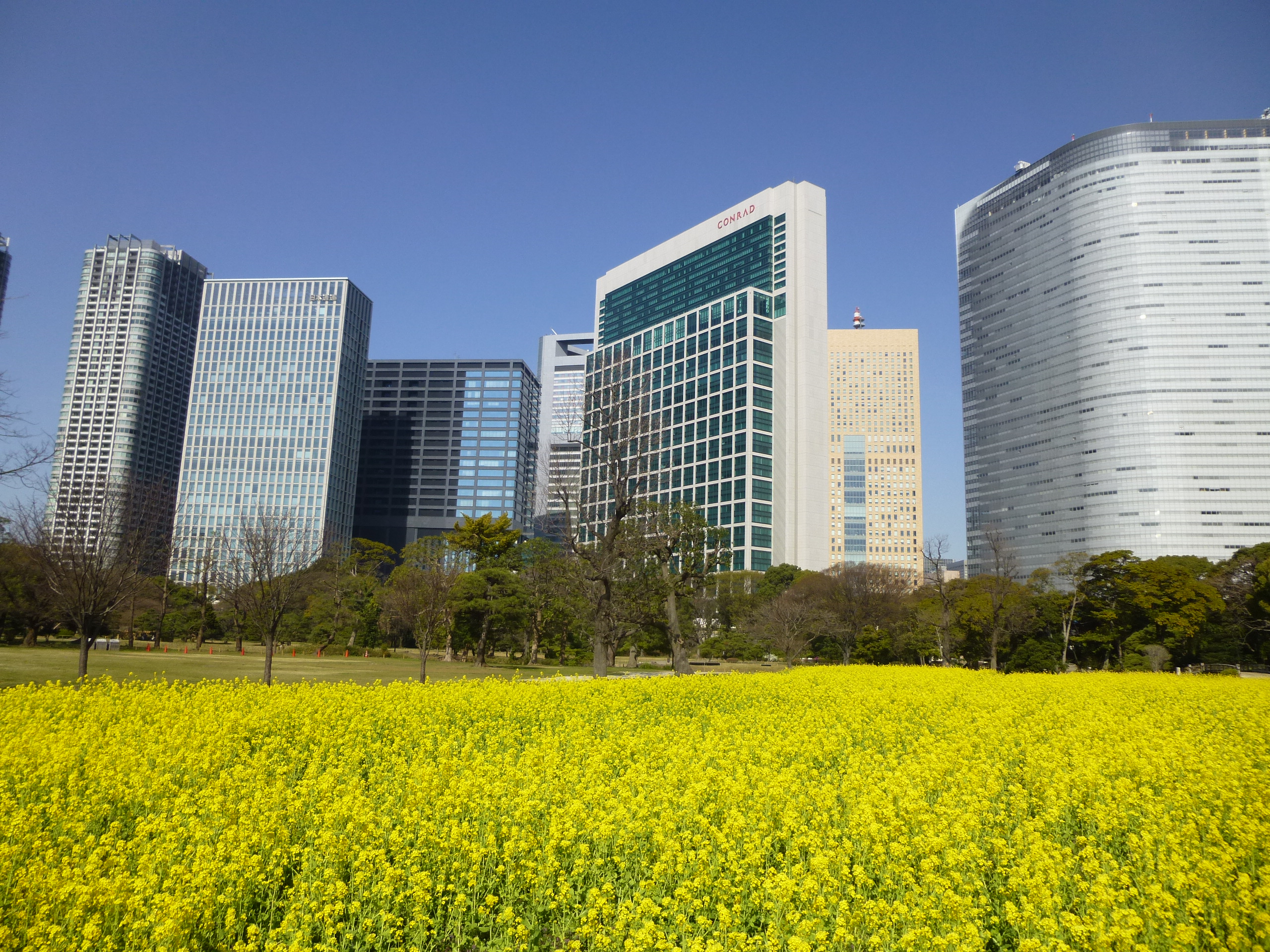 The Hamarikyu Gardens The Hamarikyu Gardens