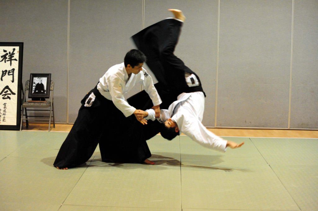 Aikido : Martial arts