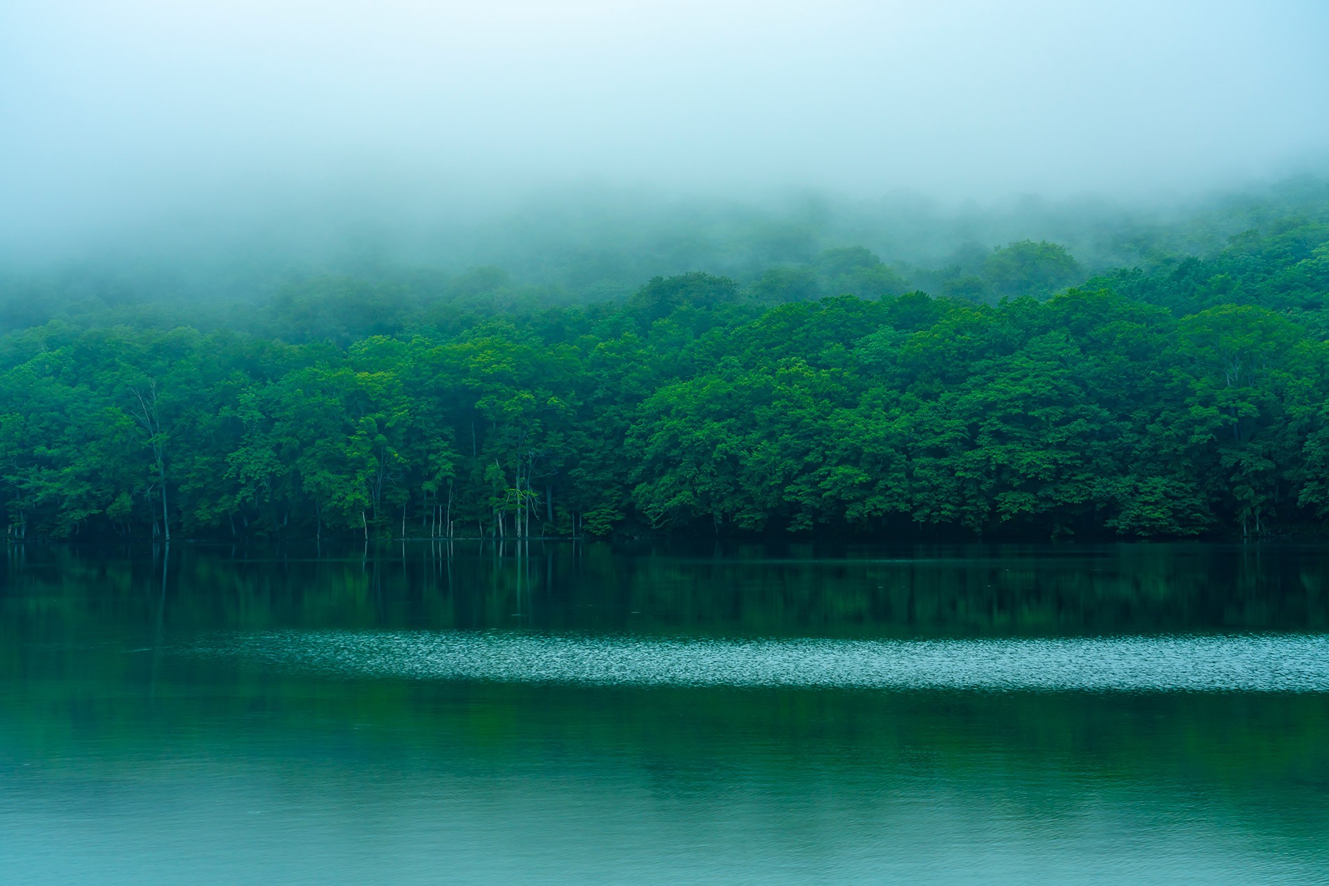 Gorge d'Oirase et lac de Towada