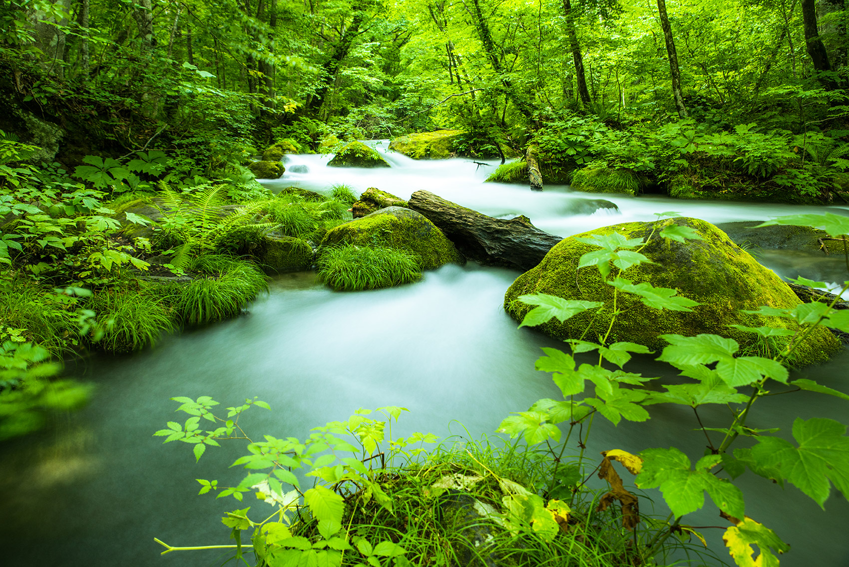 Gorge d'Oirase et lac de Towada