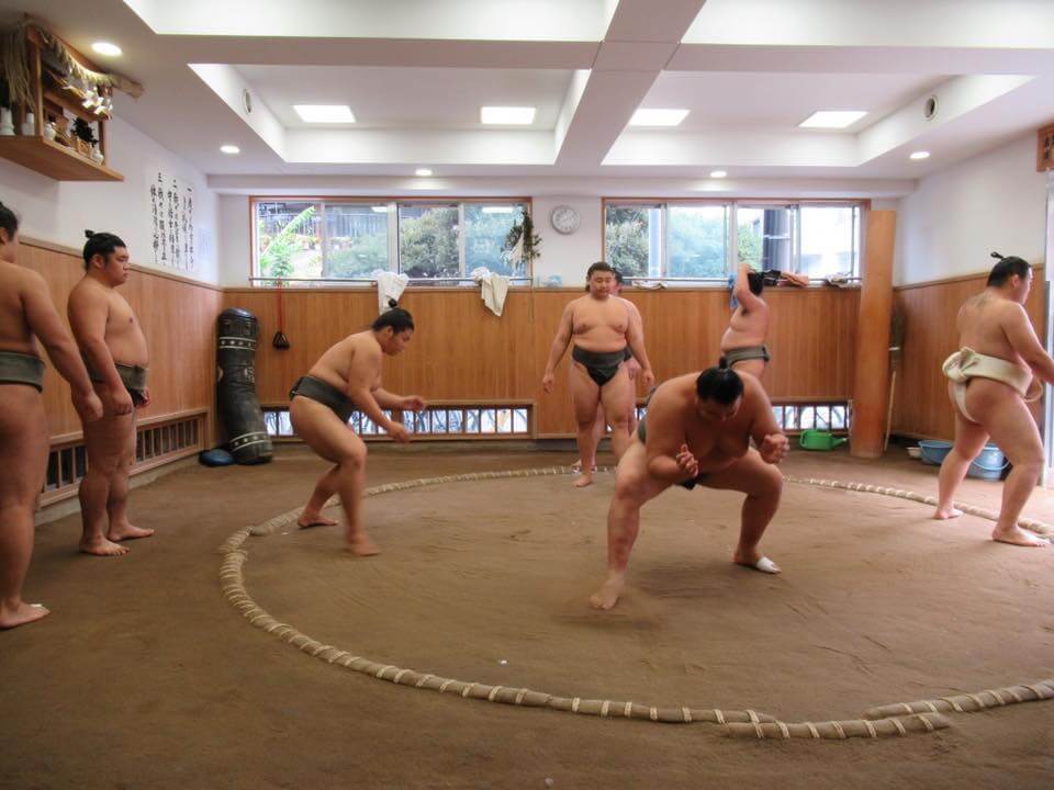 Sumo : Martial arts