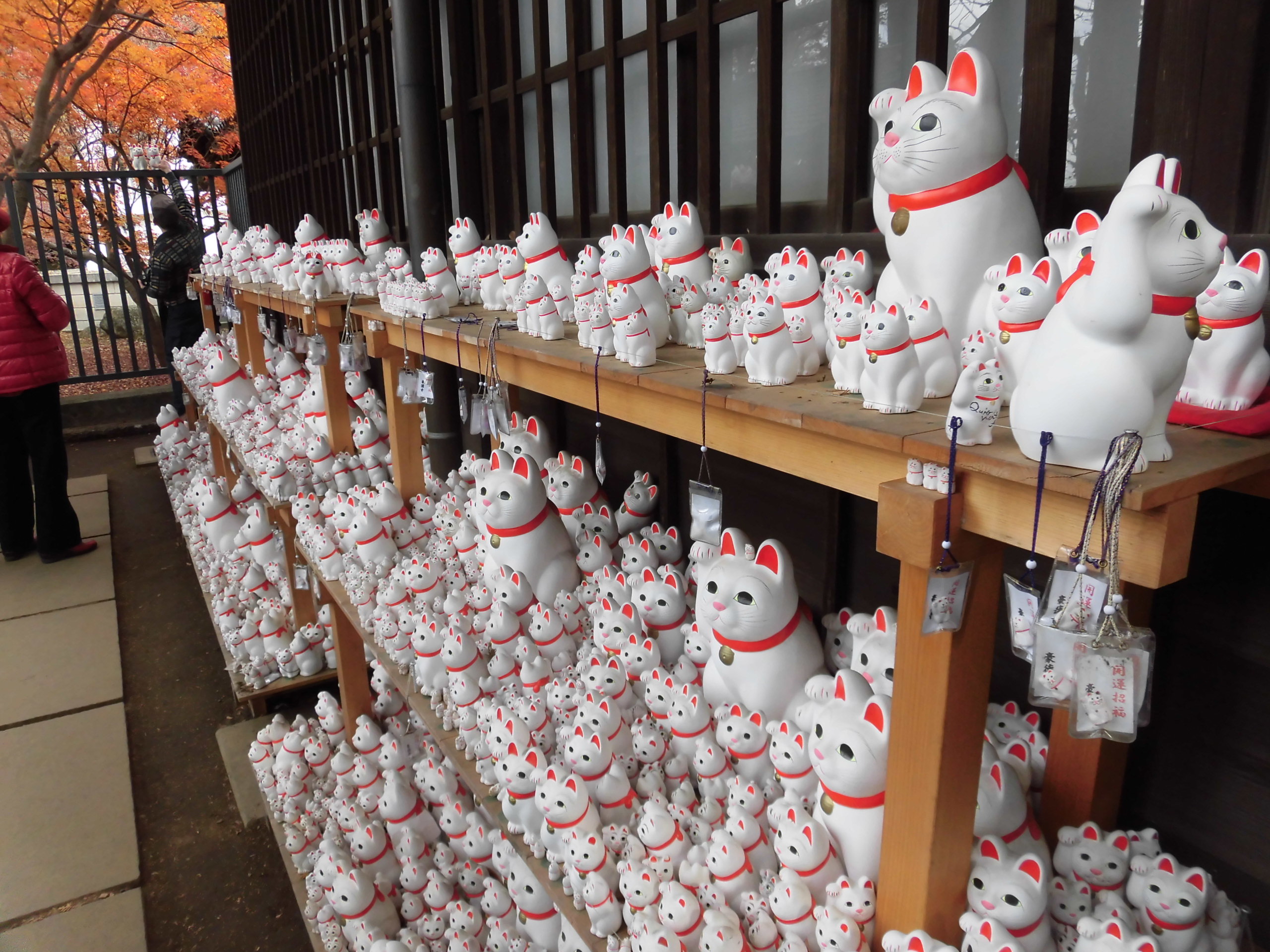 Gotokuji Temple Gotokuji Temple